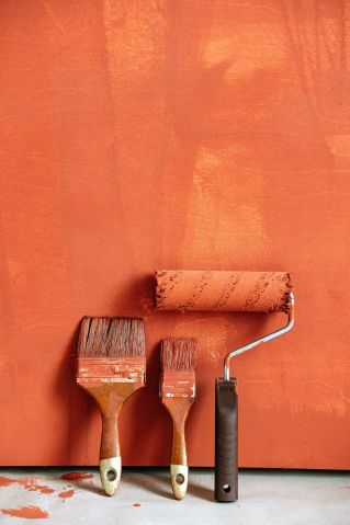 Brown Paint Brushes and Paint Roller